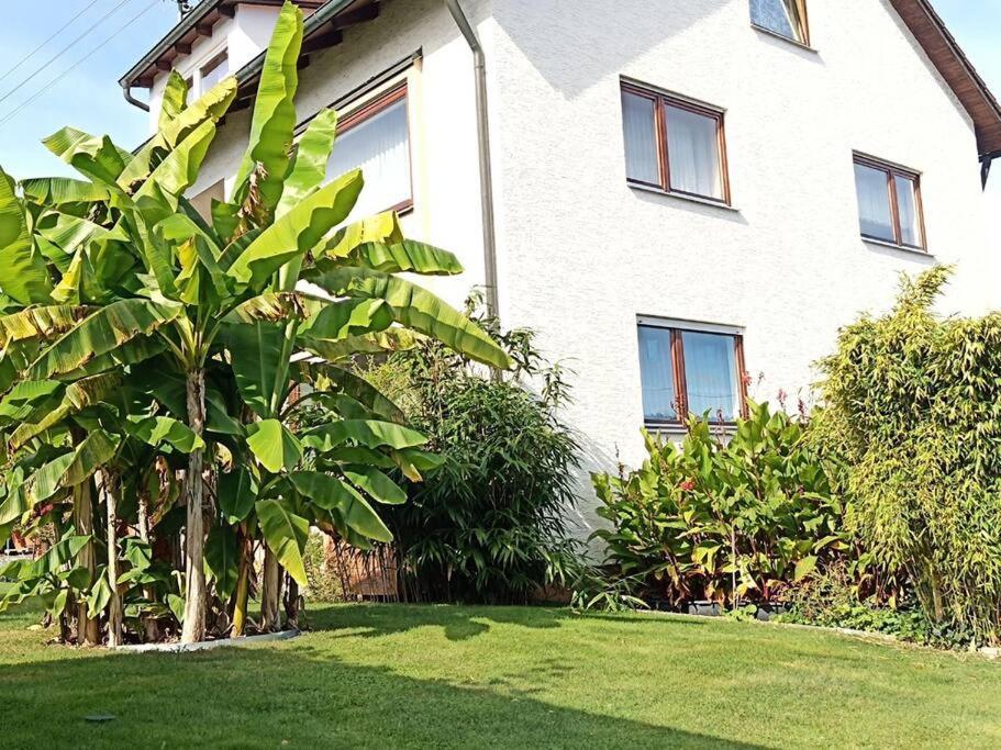 Ferienwohnung Wiesental 89331 Burgau, Wiesentalstrasse 1 Exterior foto